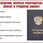 Трудовая книжка