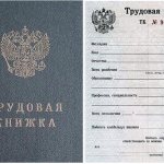 employment contract entry in the work book