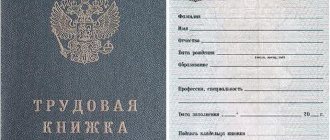 employment contract entry in the work book