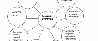 Chief accountant's assistant