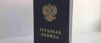Заносят ли благодарность в трудовую книжку