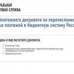 Filling out a payment document